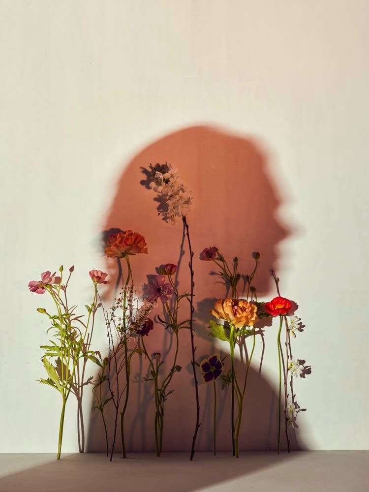 Autocrítica x Autocompaixão: qual delas você alimenta?